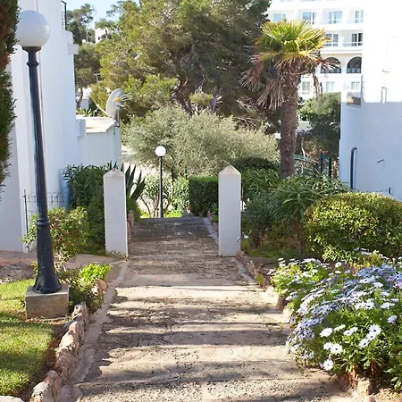 Apartment Playa Dor 4